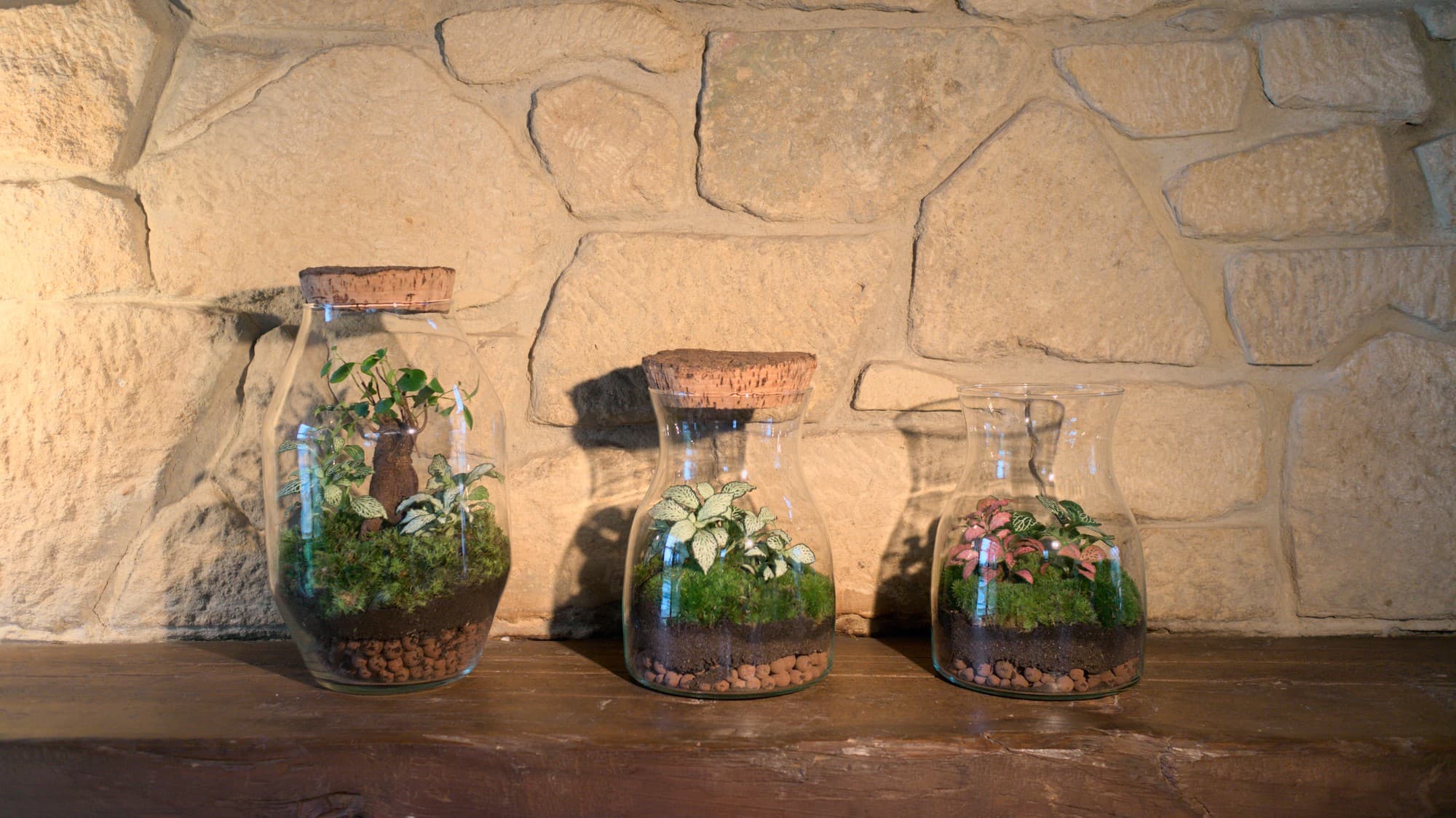 A piece of forest that takes care of itself (almost).