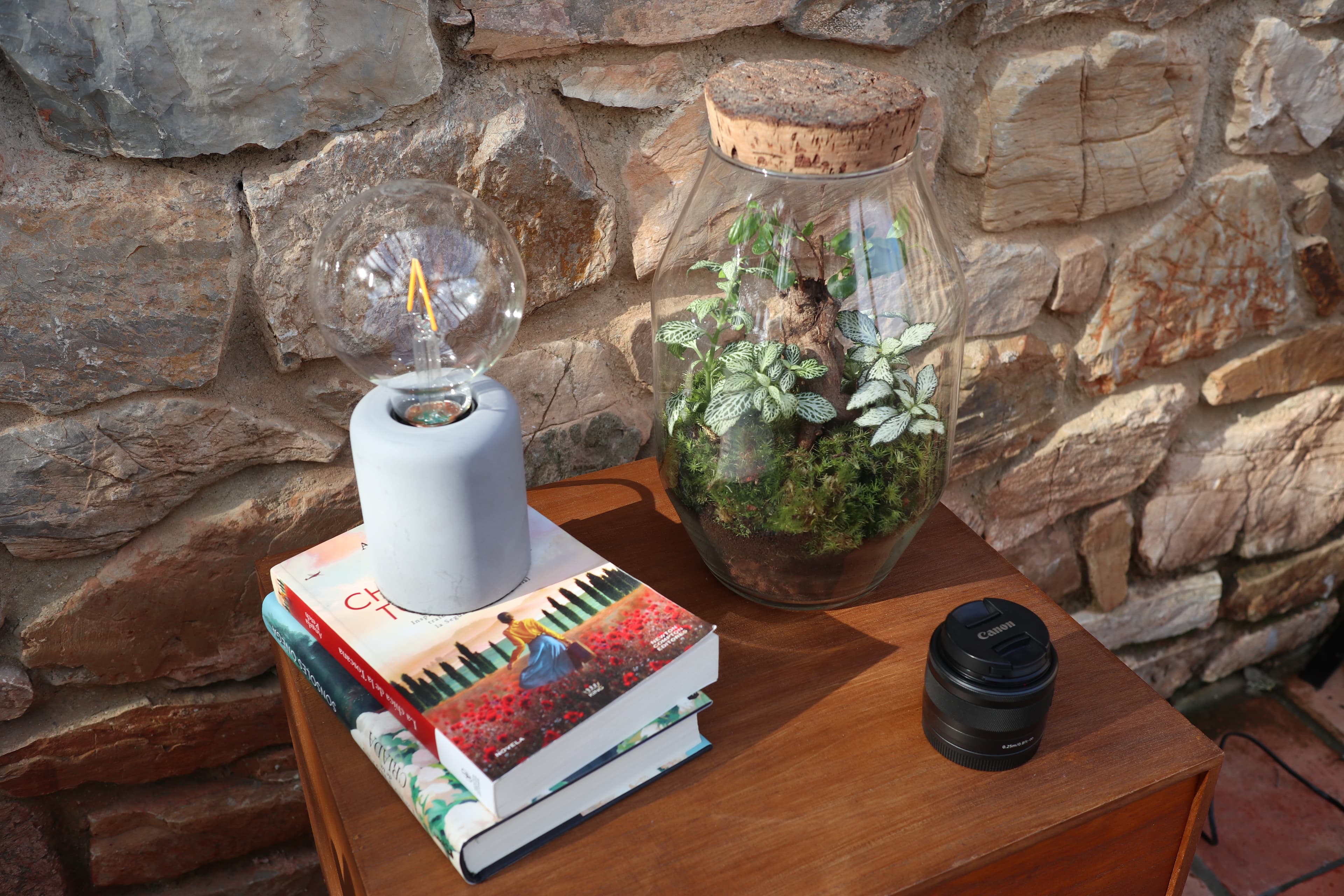 Terrario Ginseng Premium Silvestra